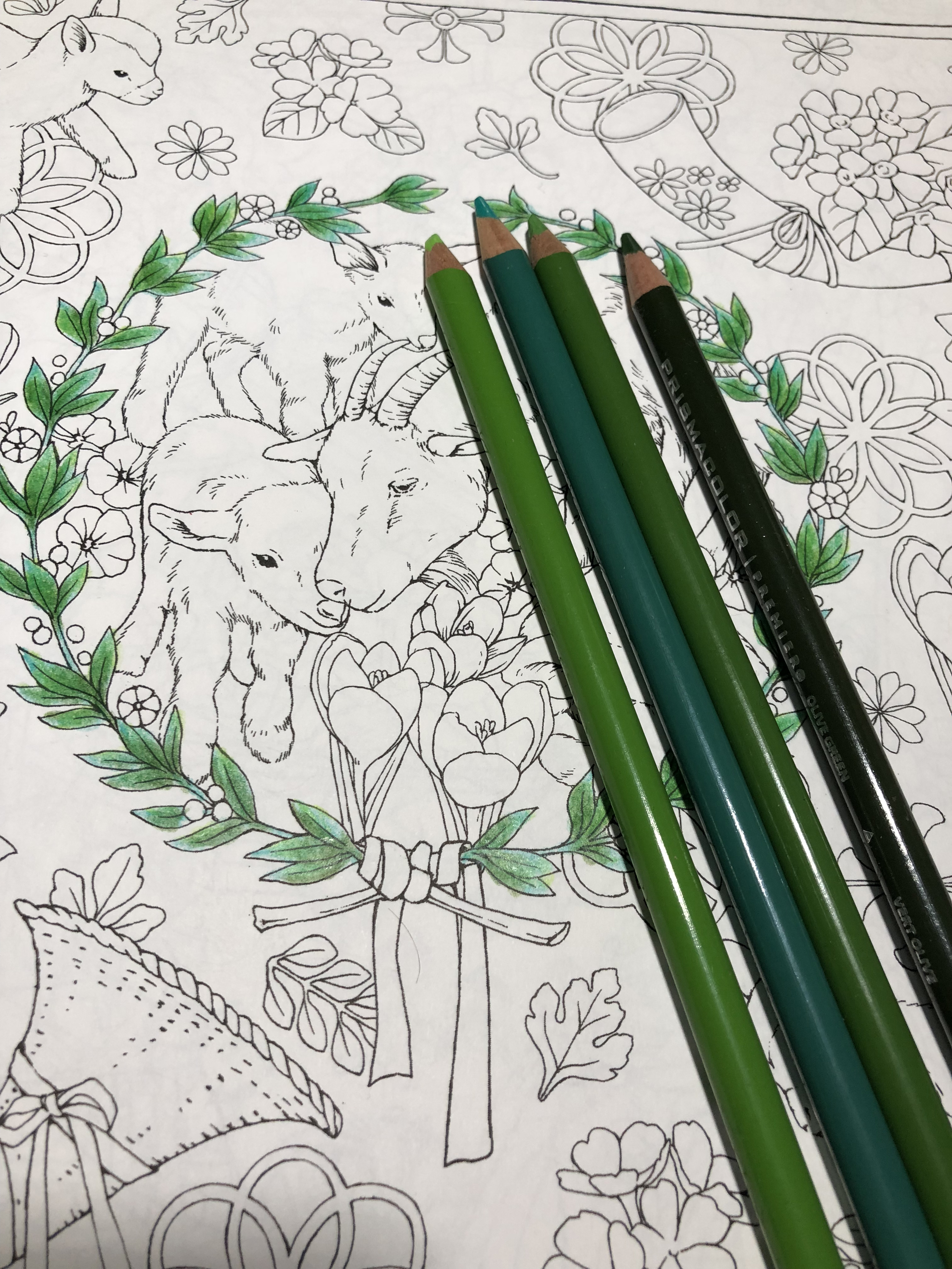 大人の塗り絵 幸せのメヌエット江種鹿乃子さんの本よりヤギの親子 大人の塗り絵time 大人の塗り絵 幸せのメヌエット江種鹿乃子さんの本よりヤギの親子 大人の塗り絵time